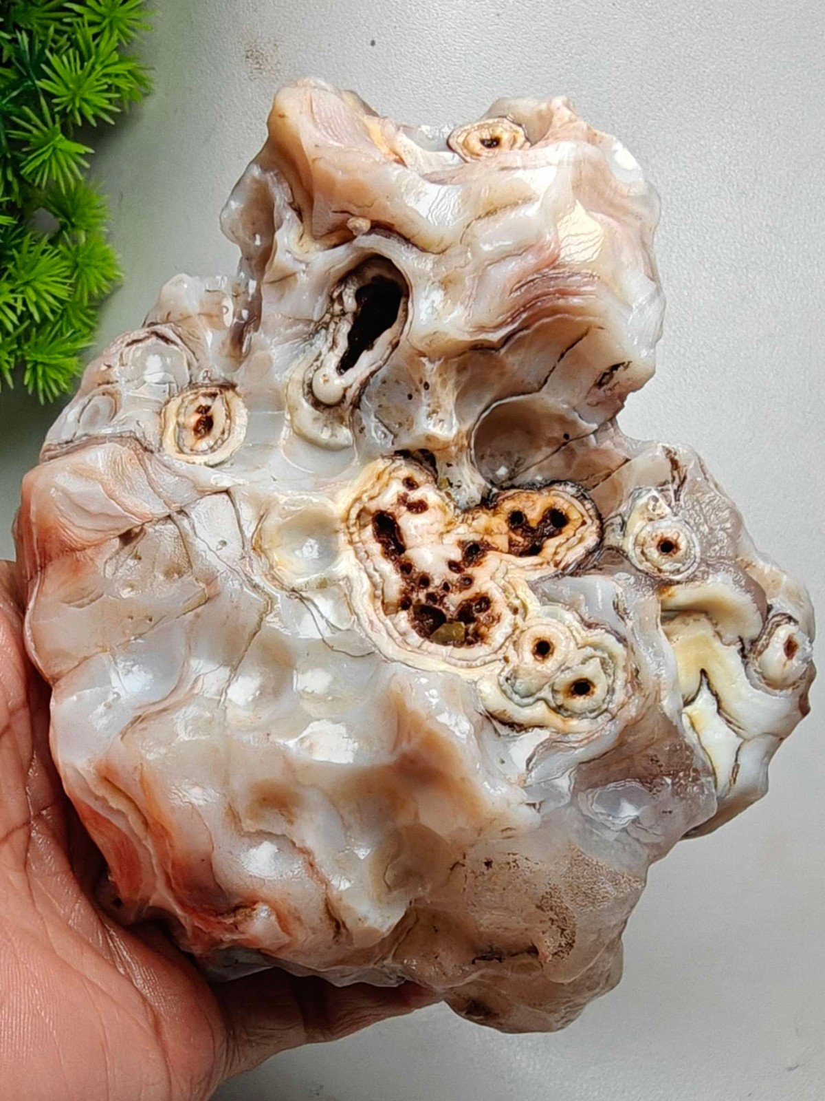 Rare China Inner Mongolia Gobi Eye Agate Stone Specimen Natural Designer 686G