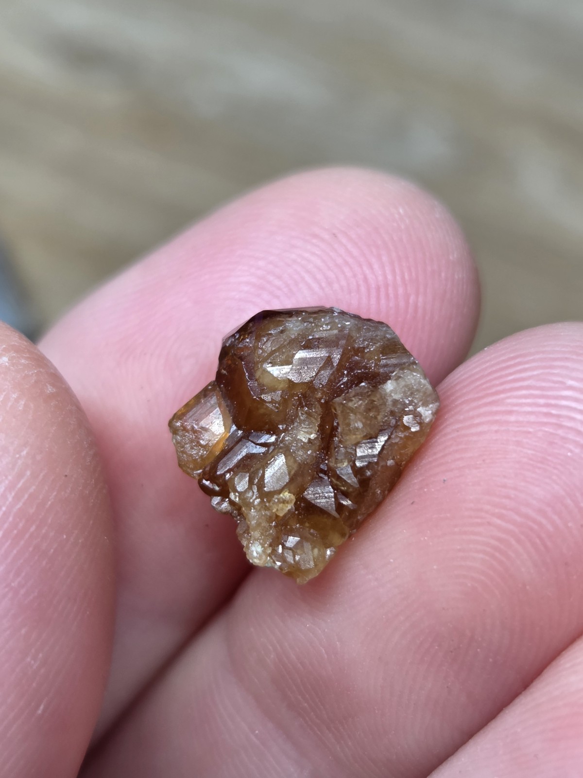 Set of 5 Natural Garnets – Rough Specimens