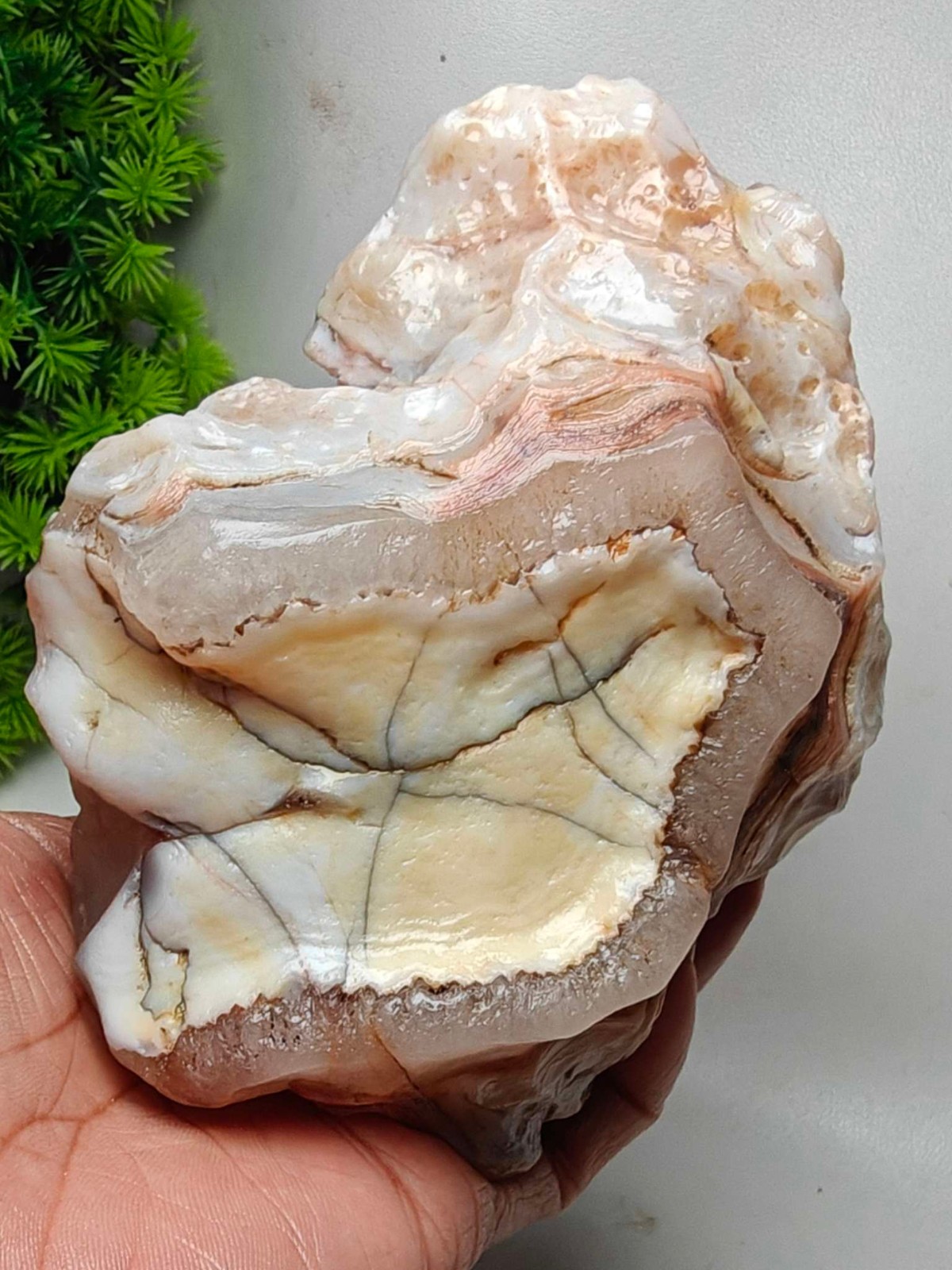 Rare China Inner Mongolia Gobi Eye Agate Stone Specimen Natural Designer 686G