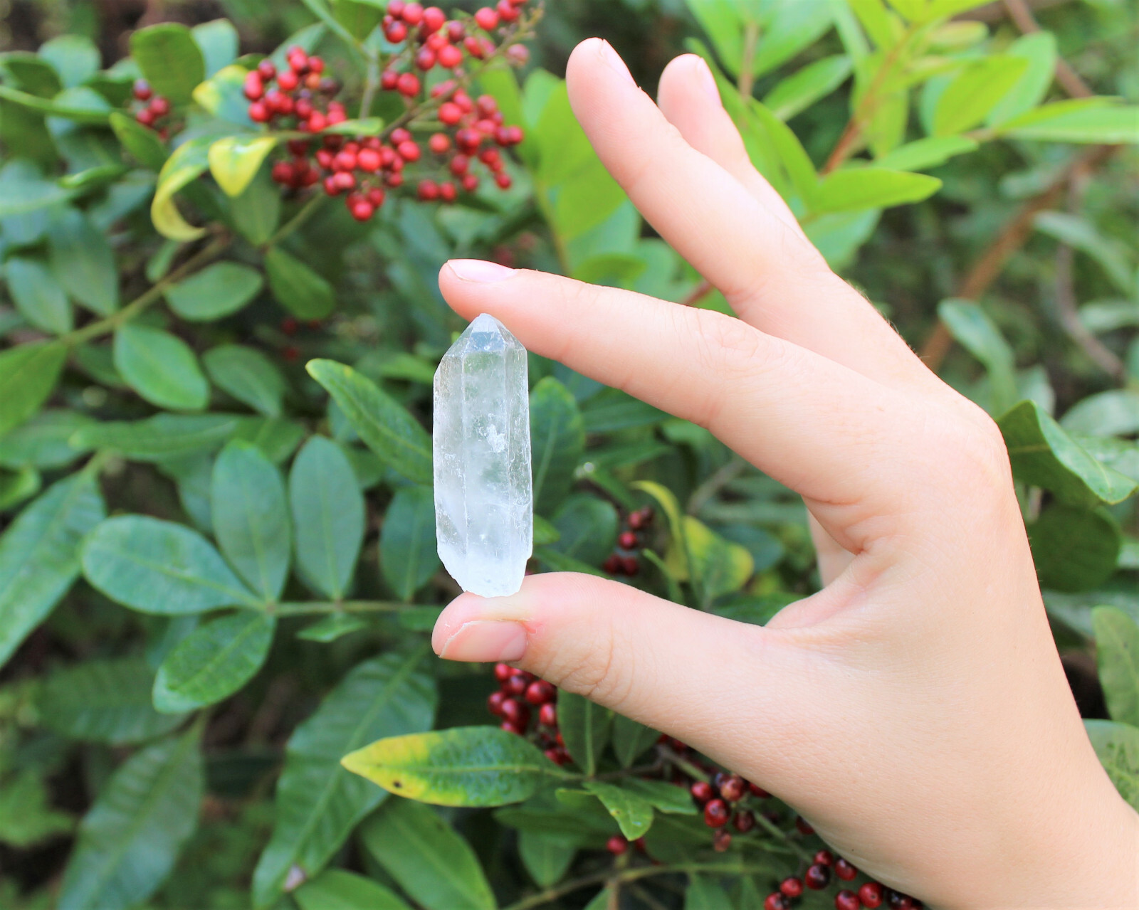 1000 Carat Lot Natural Clear Quartz Points (18 – 26 Crystals) Reiki Healing Wand