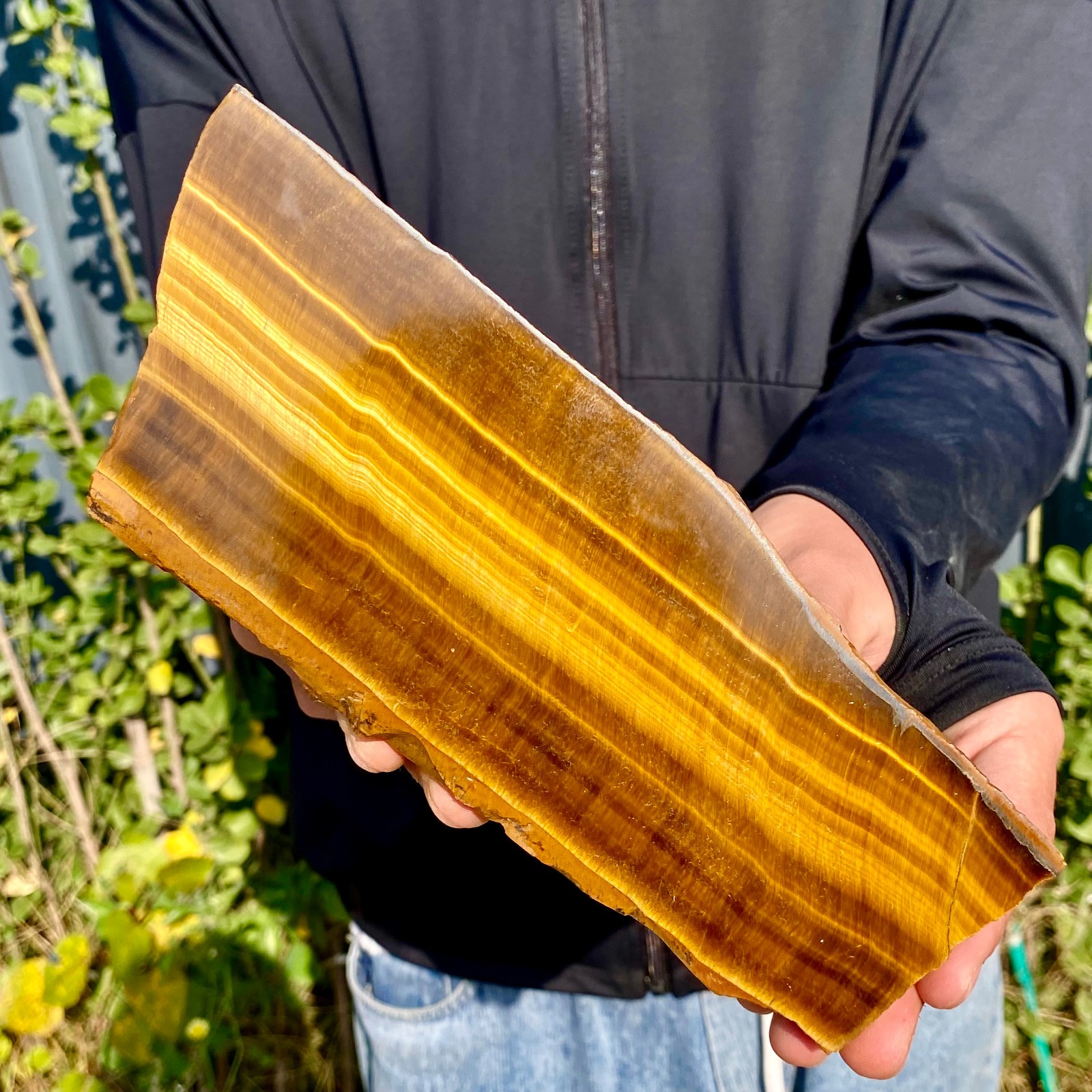 1.3LB Natural Tiger Eye Stone slice Quartz Crystal Polished Specimen healing