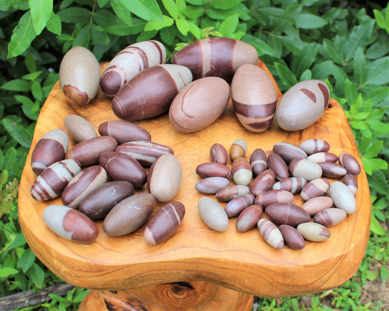 One LARGE Shiva Lingam Stone, 3-4″ size (Crystal Healing, Shiva Lingham)