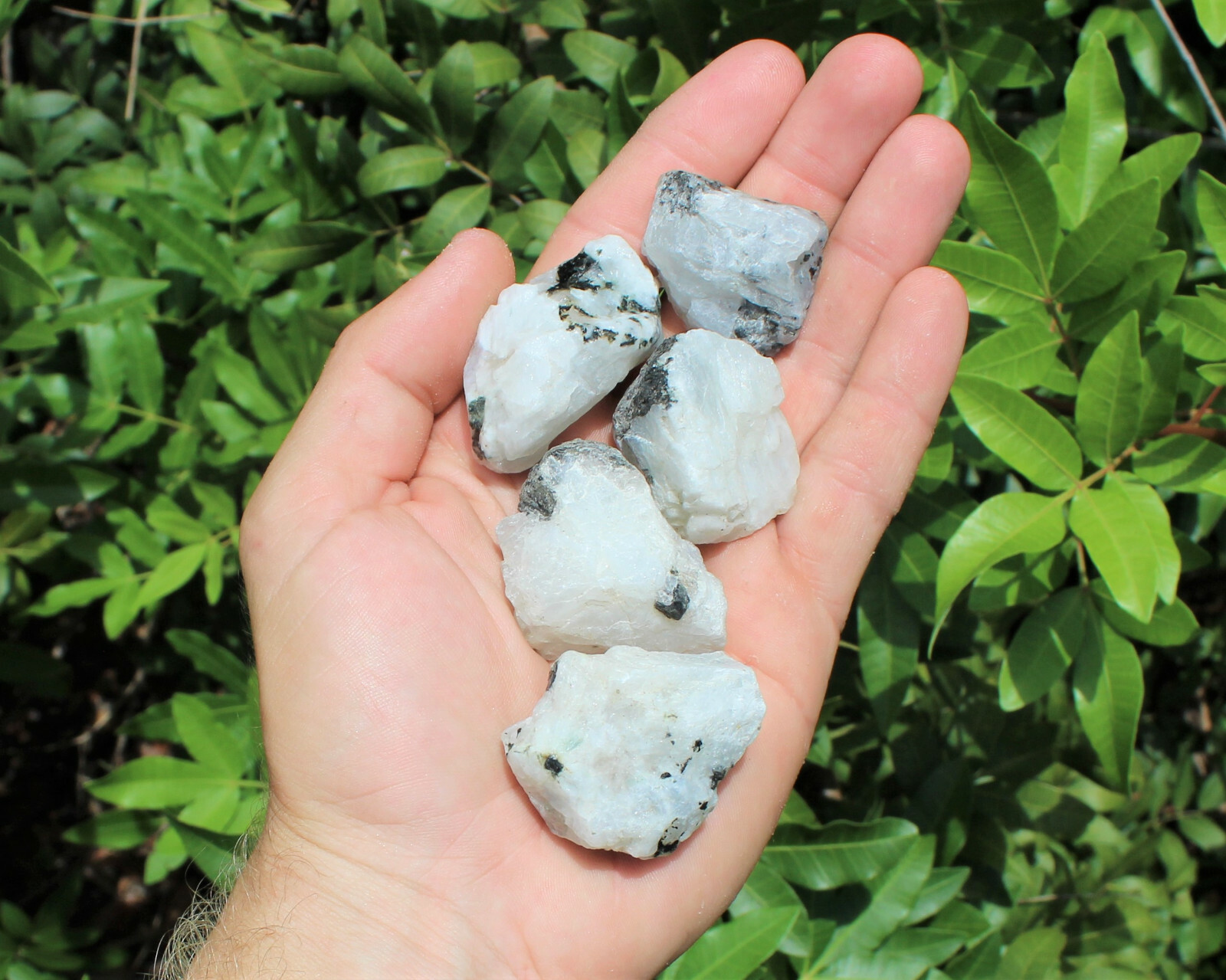 500 Carat Lot Natural Rough Rainbow Moonstone Crystals (Raw Stone, 100 Grams)