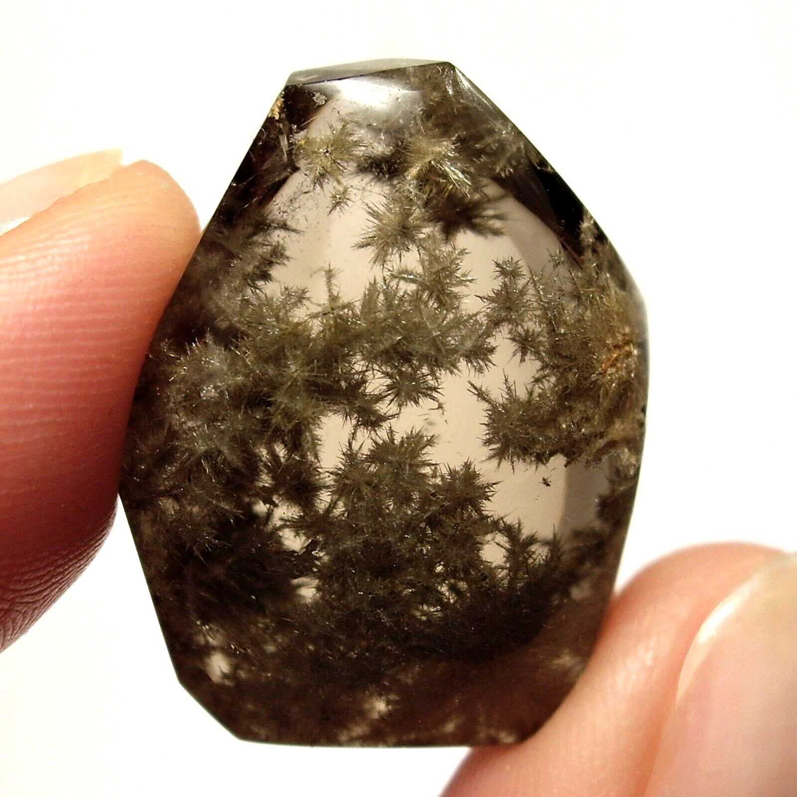 Spectacular Smoky Quartz Gemstone w/Unknown Spiky Crystal Structures Inside 9.6g