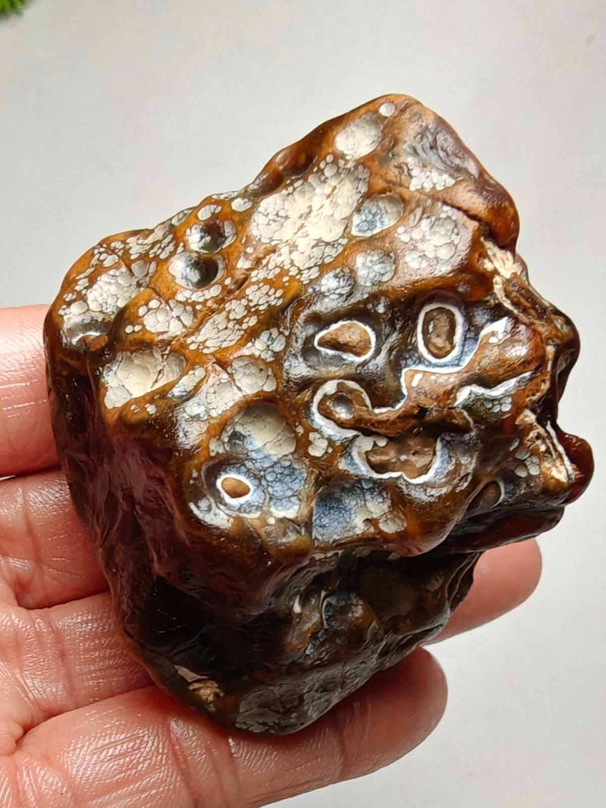 Rare China Inner Mongolia Gobi Eye Agate Stone Specimen Natural Designer 152G