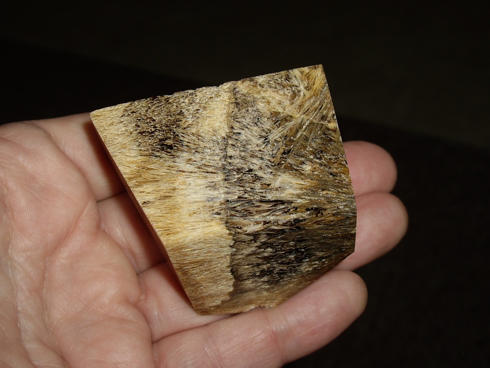 Fantastic Sagenite Agate Polished Freeform w/ Unknown Fibrous Inclusions 144.6g