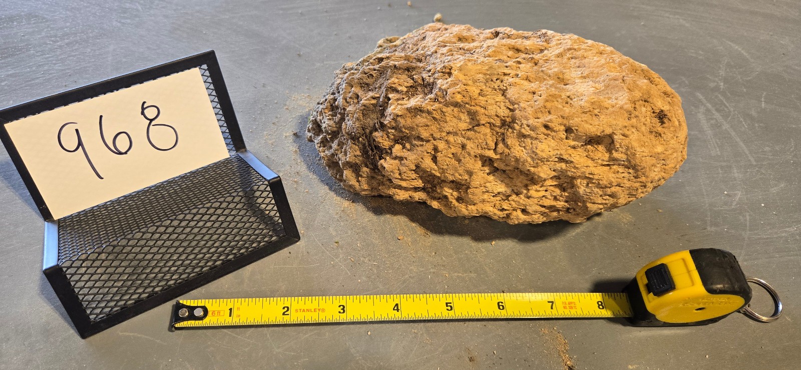 8″ Medium Pumice Stone Floating Natural Rock Carnivorous Succulent Garden #968