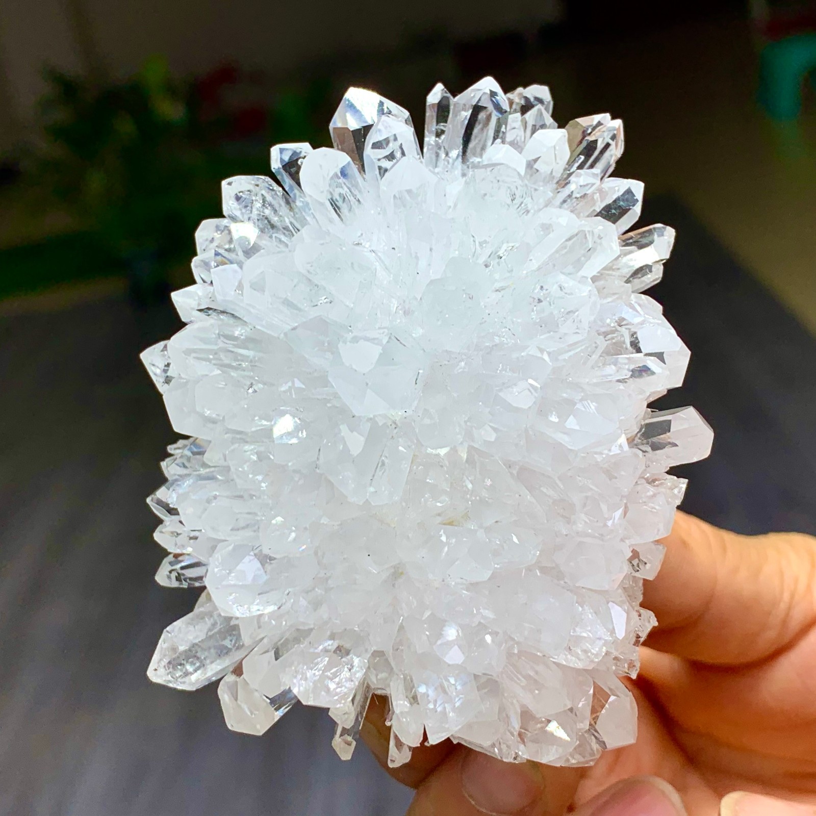 227G Natural Transparent Chrysanthemum crystal Cluster Specimen