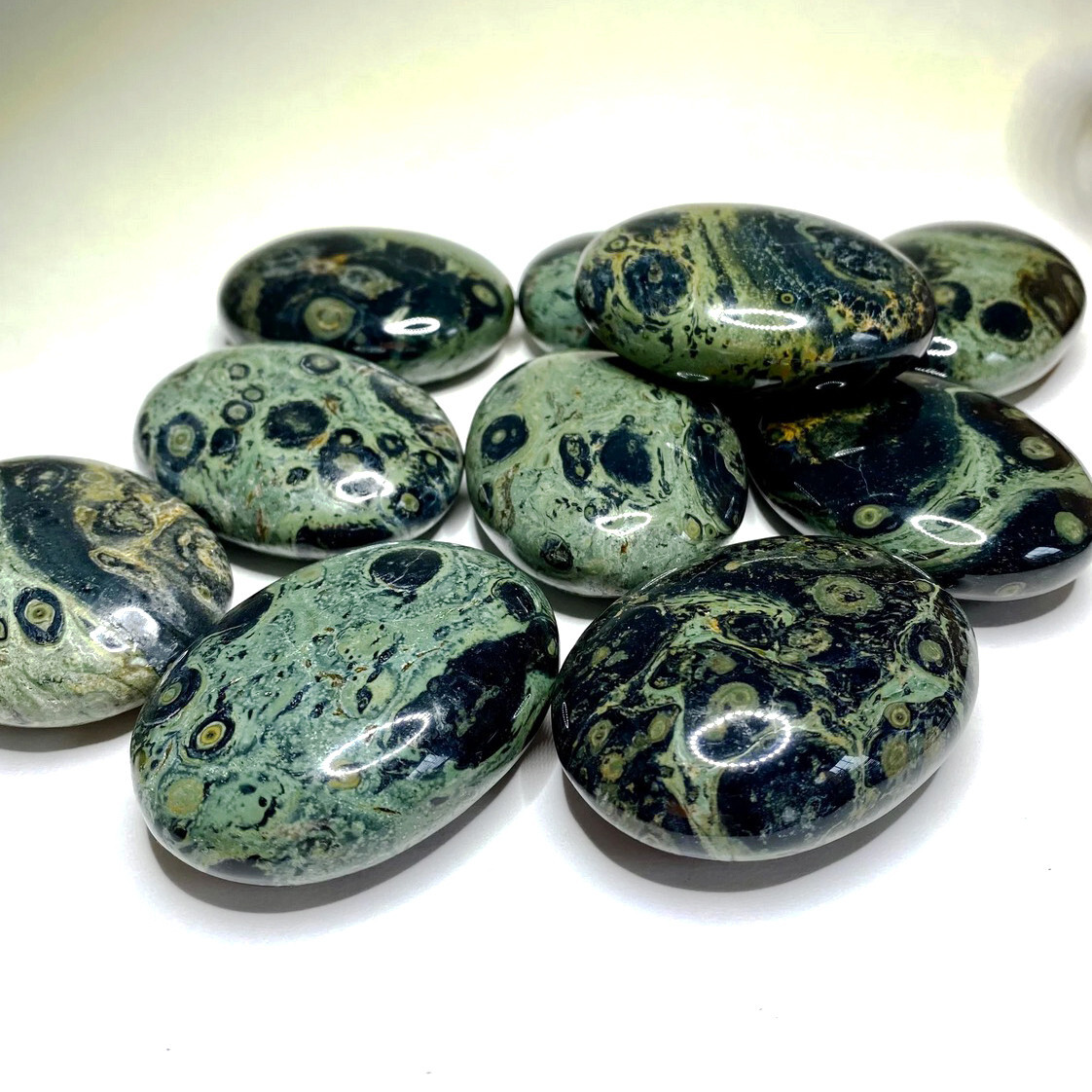 XL Kambaba Jasper Palm Stone Green Rock Crystal Healing Reiki Polished Worry Sto