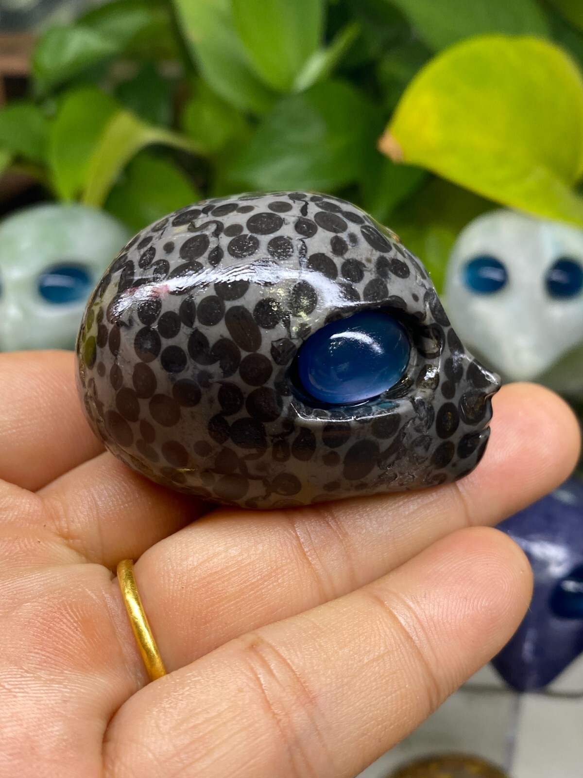 1pc Natural Unknown Quartz Carved Alien Skull Crystal Reiki Healing Gem Gift