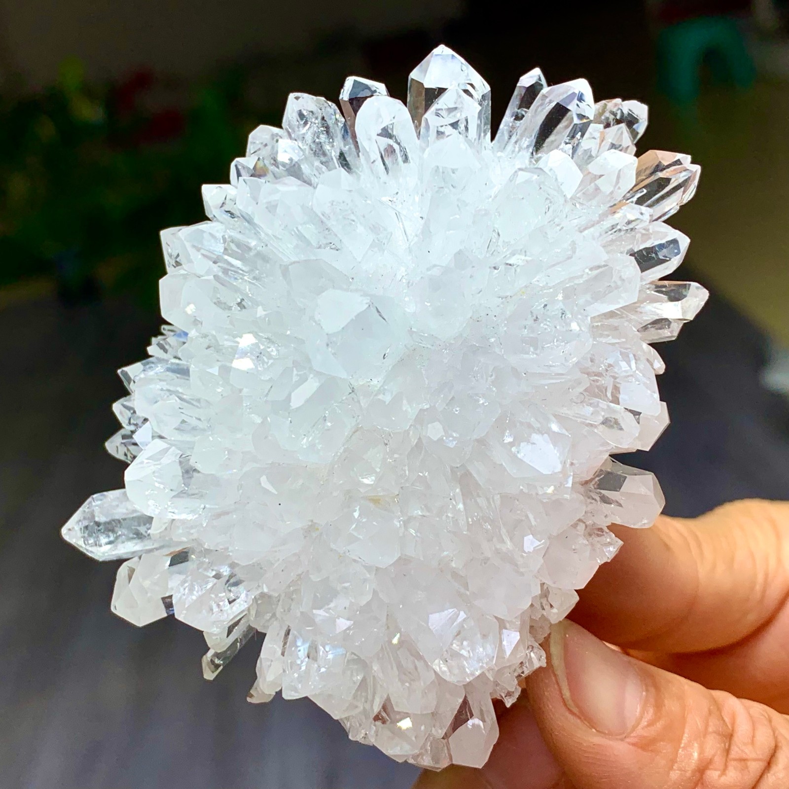 227G Natural Transparent Chrysanthemum crystal Cluster Specimen