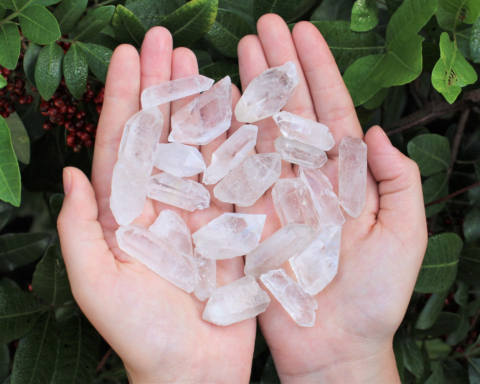 1/2 lb Bulk Smoky Quartz & Clear Quartz Crystal Collection Box (Natural Points)