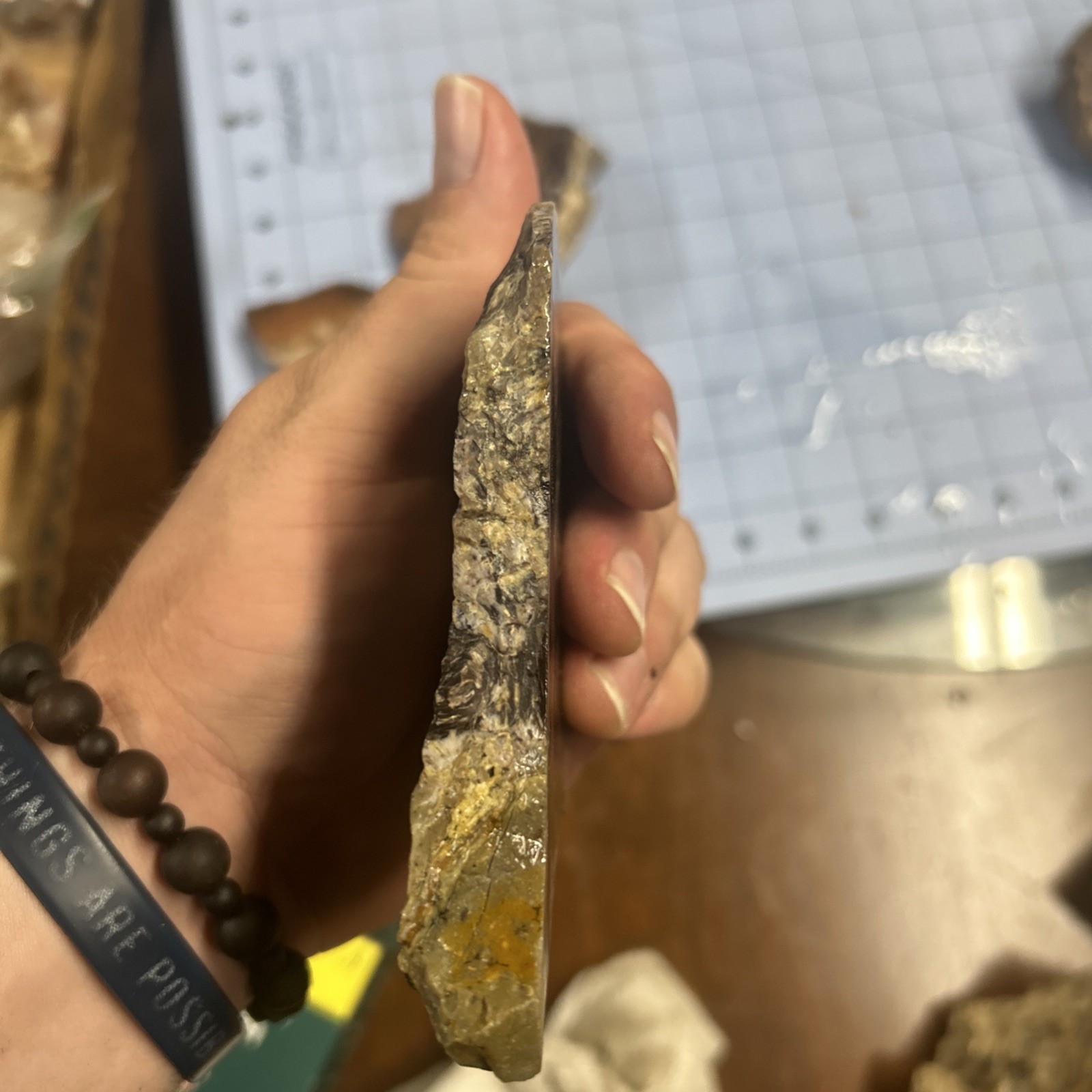 Unknown Petrified Wood End Cuts 3 Pieces. Total 1 Lb 6 Oz. Pretty Pieces