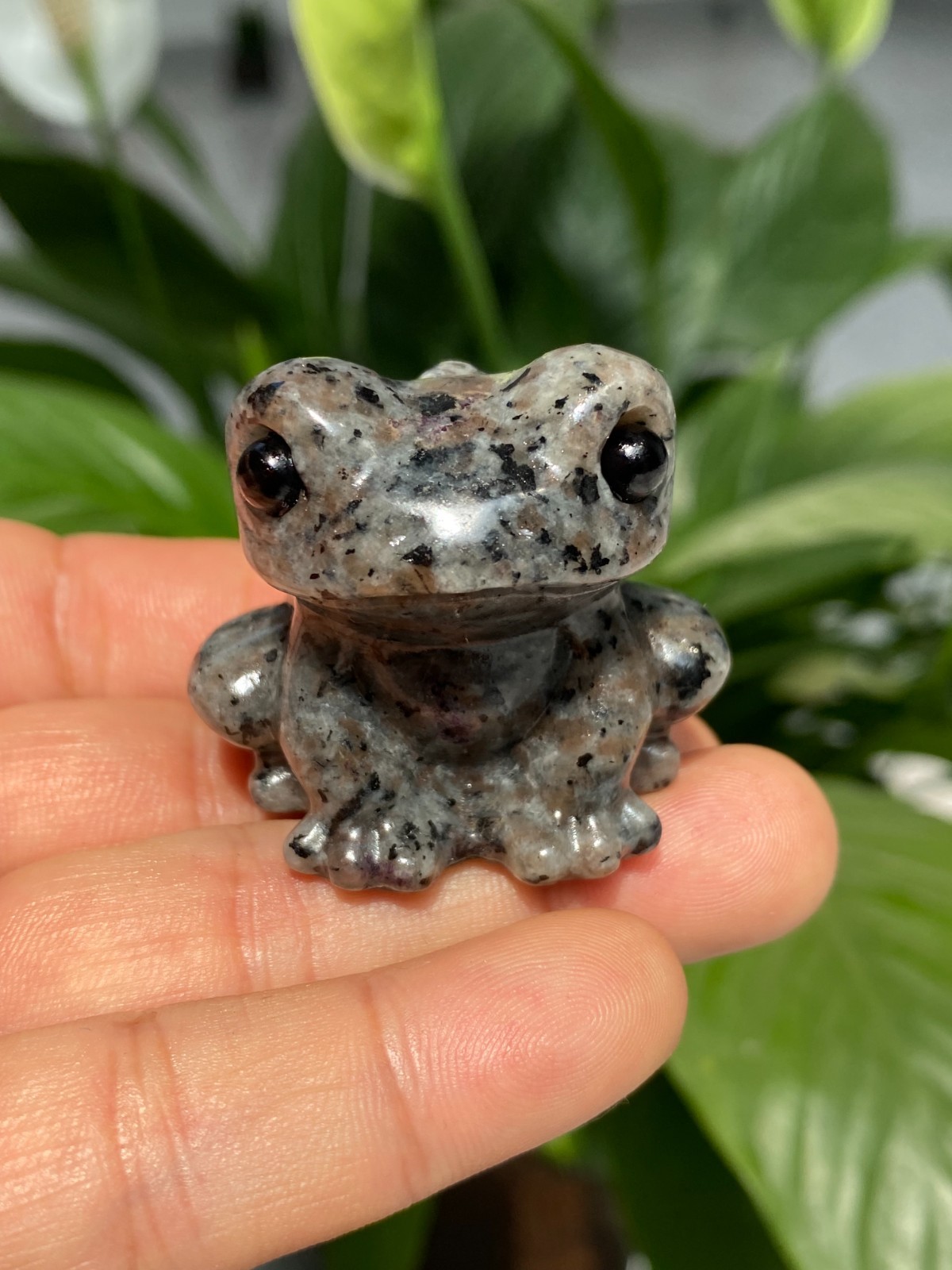 1pc Natural Yooperlite Quartz Carved Crystal Frog skull reiki healing gift Decor