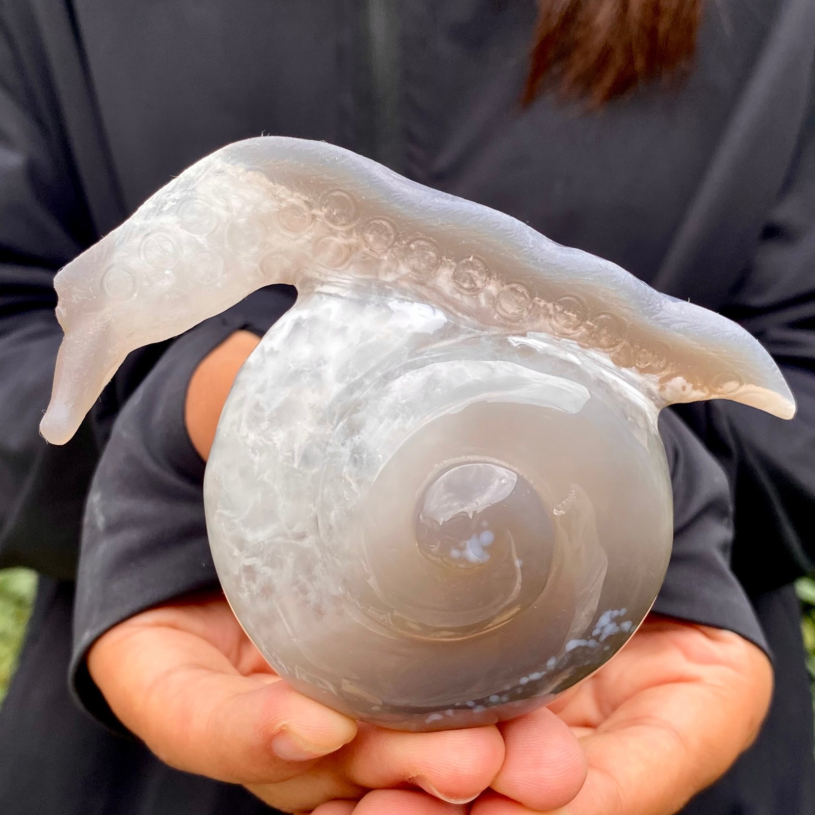269G Natural Ocean Agate Snail Hand Carving Gemstone Ornament Home Decoration