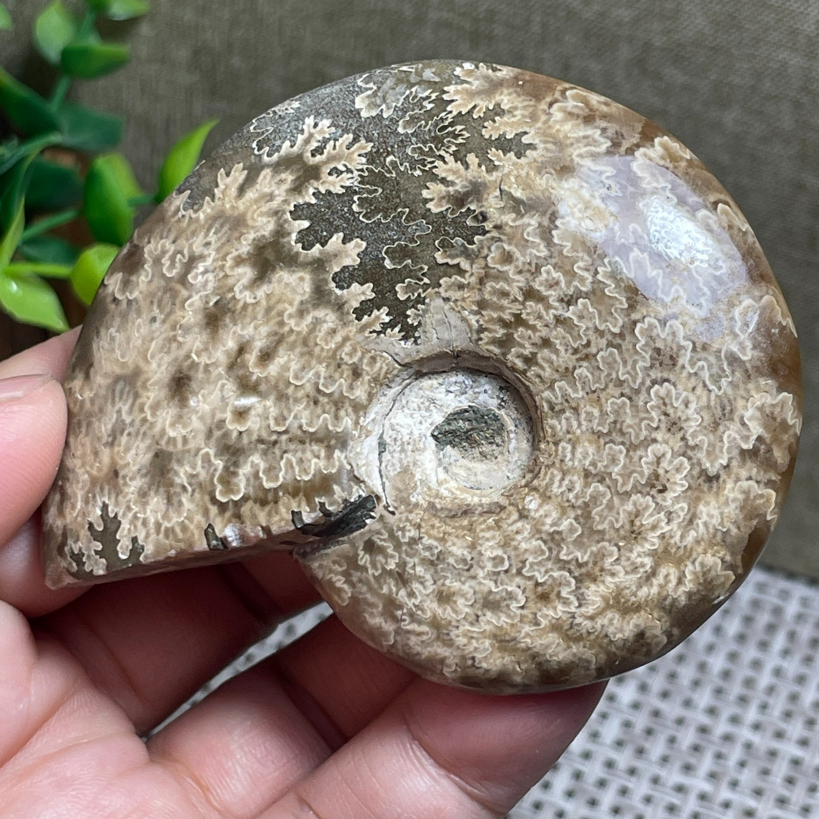 Madagascar Polishing Pretty Pattern Stone sculptor decoration 96g