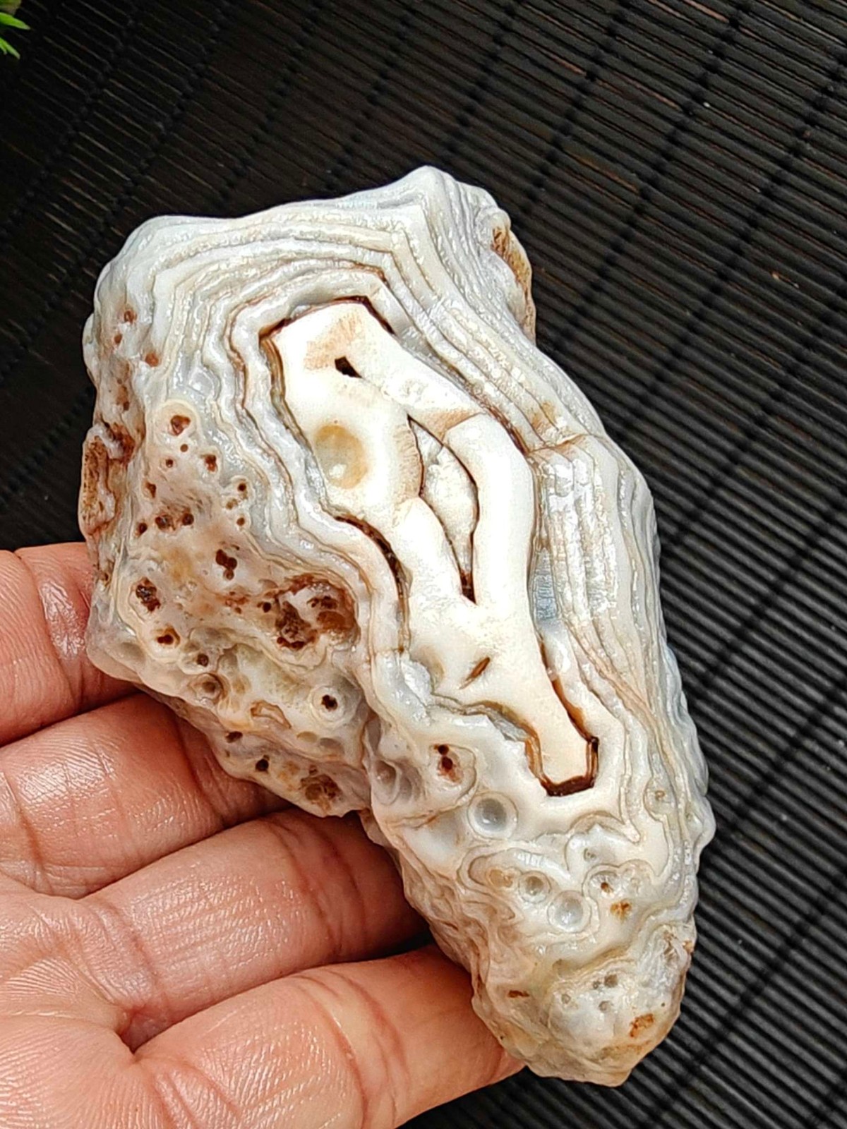 Rare China Inner Mongolia Gobi Eye Agate Stone Specimen Natural Designer 192G