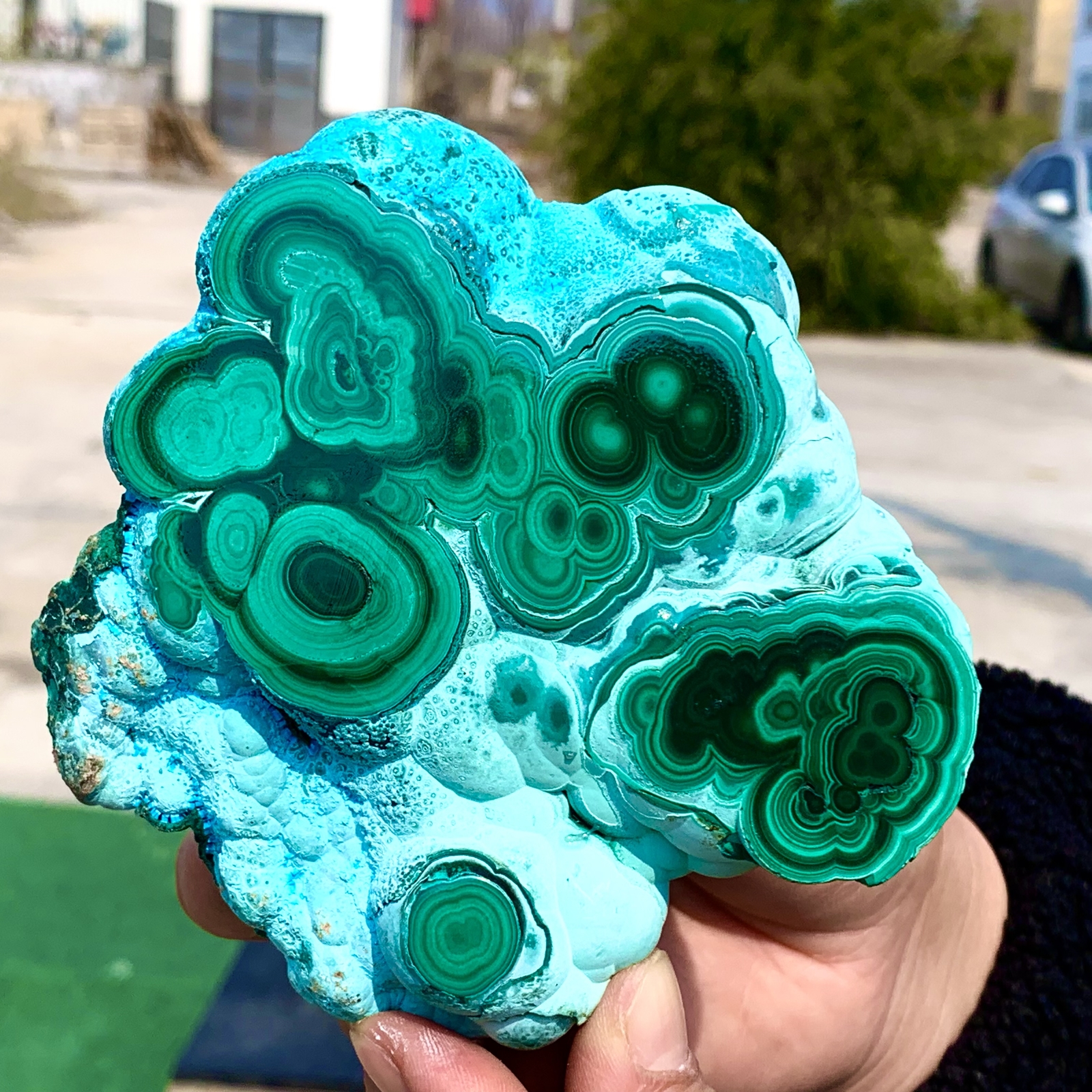 1.92LB Natural Chrysocolla/Malachite transparent cluster rough mineral sample