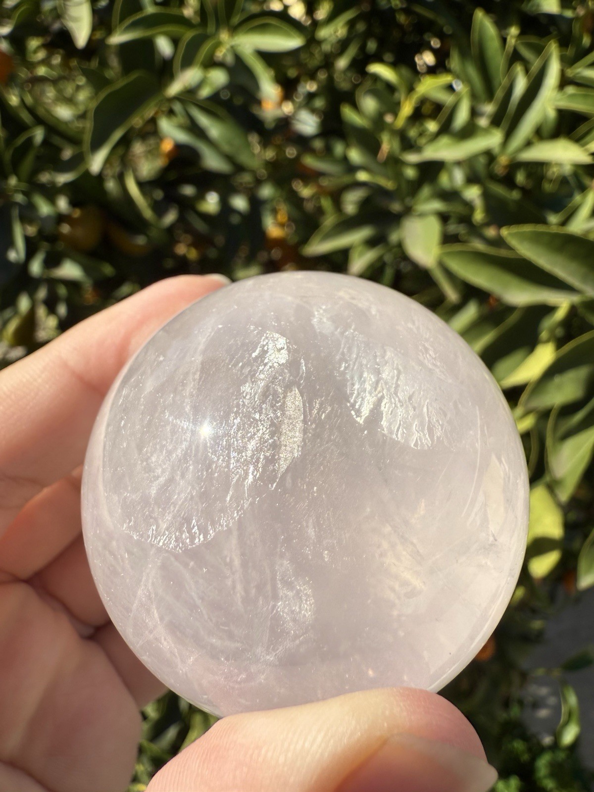 179g High Quality Star Rose Quartz Sphere with Asterism,A20