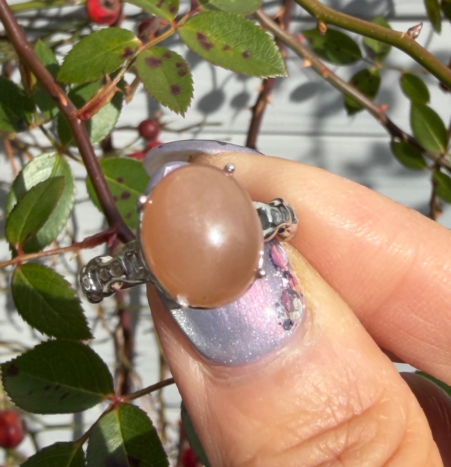 Wholesale 7 Pcs Natural Peach Moonstone Sunstone Stainless Steel Rings 10x12mm
