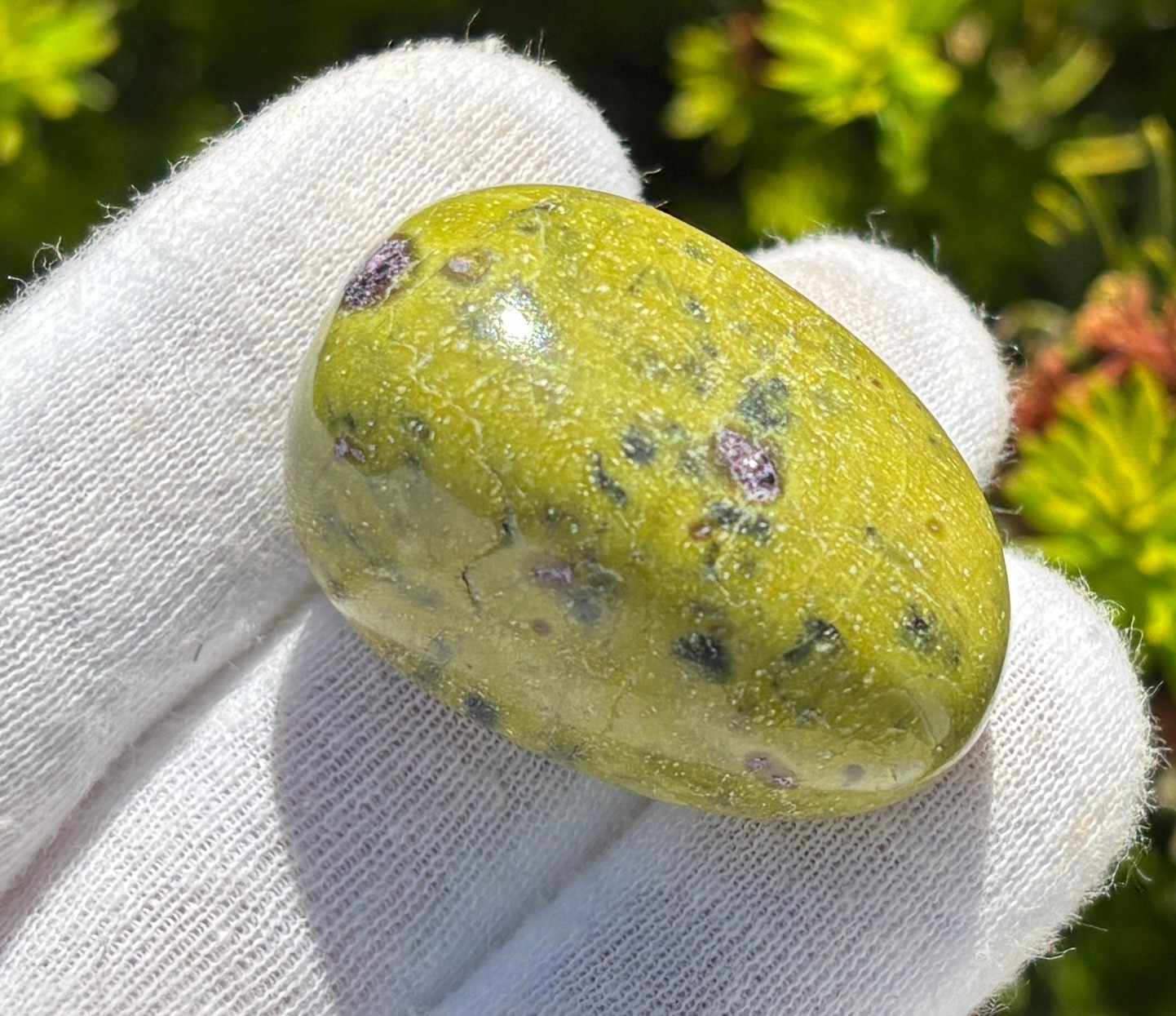 USA SALE LOT TUMBLES TUMBLE STONE STONES HYPERSTHENE/ATLANTISITE/AMBER/FUCHSITE