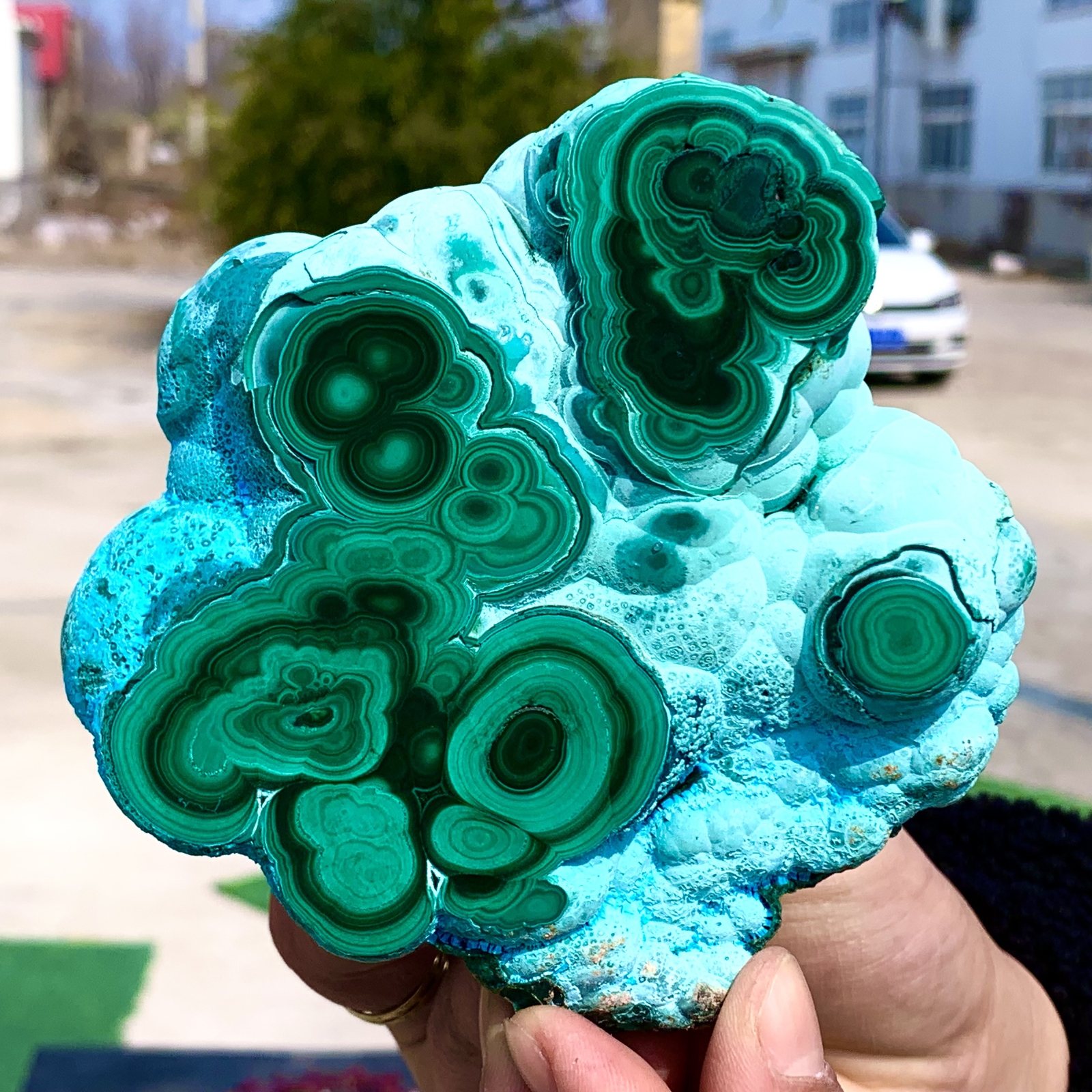 1.92LB Natural Chrysocolla/Malachite transparent cluster rough mineral sample