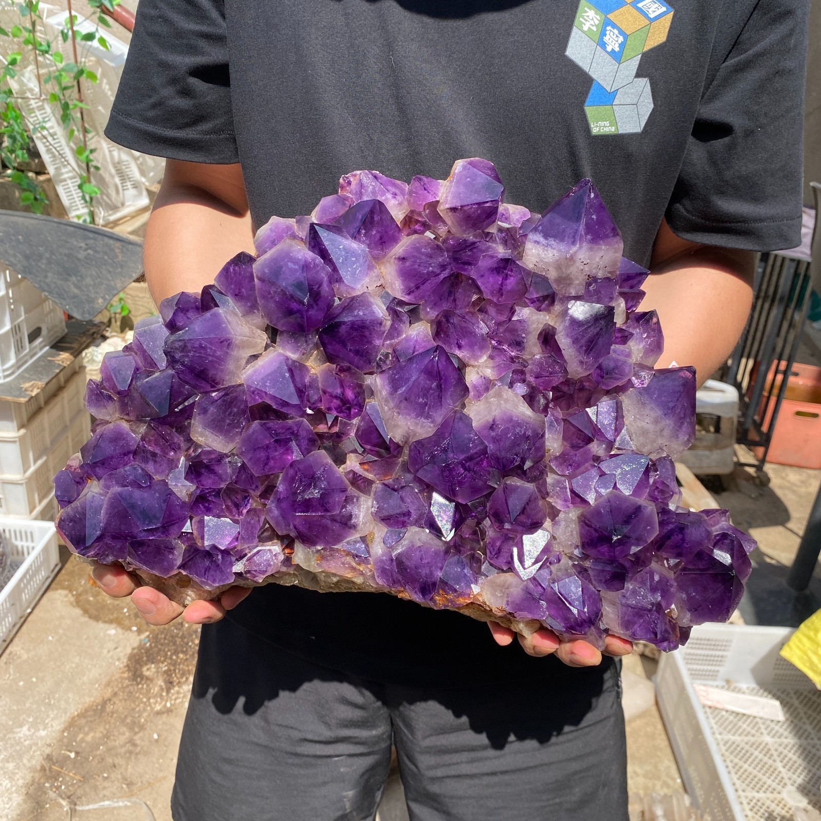 25.9lb Natural Amethyst geode quartz cluster crystal specimen Healing
