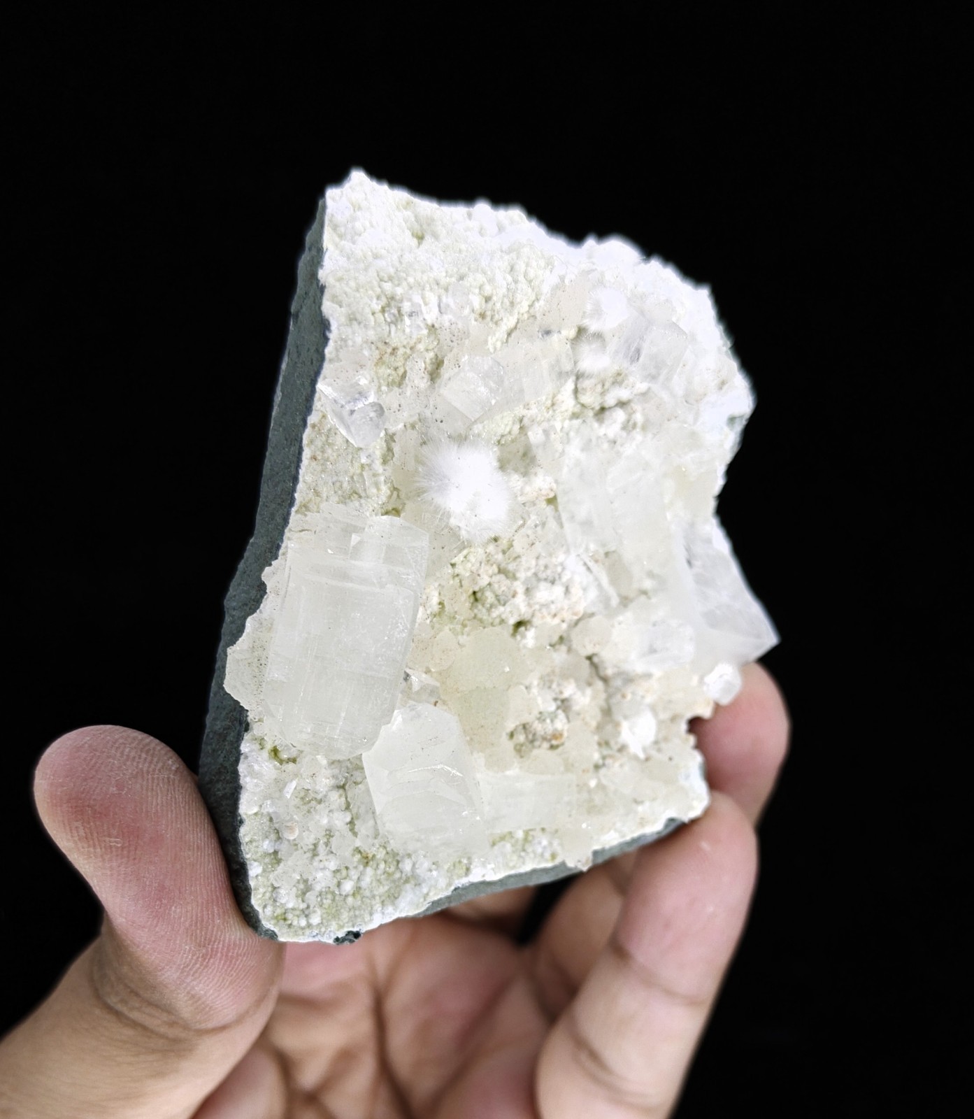 Rare Natural Okenite, Gyrolite and Apophyllite on Base Minerals Specimen #S391