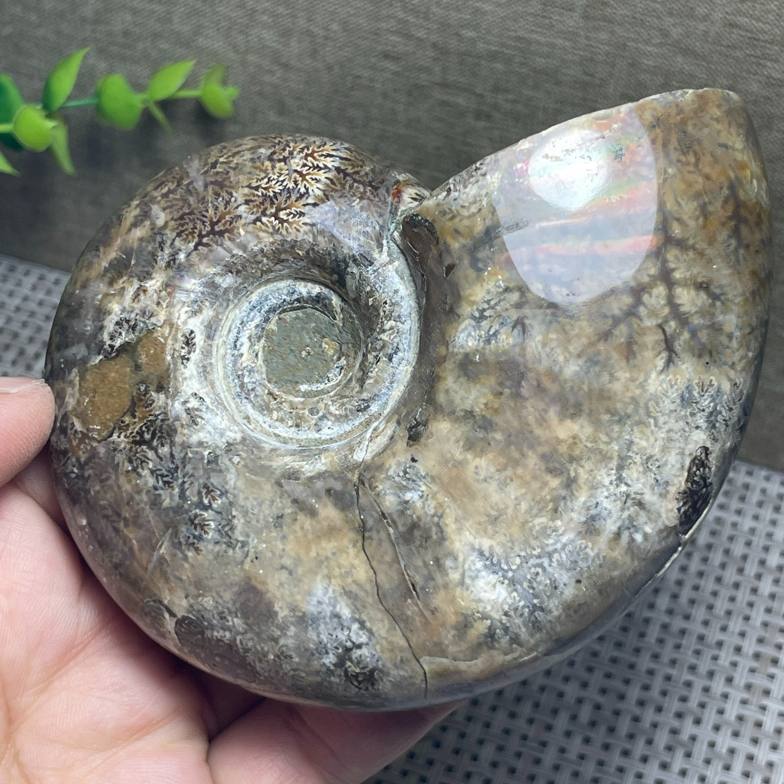 beautiful polishing Stone sculptor home decoration 400g