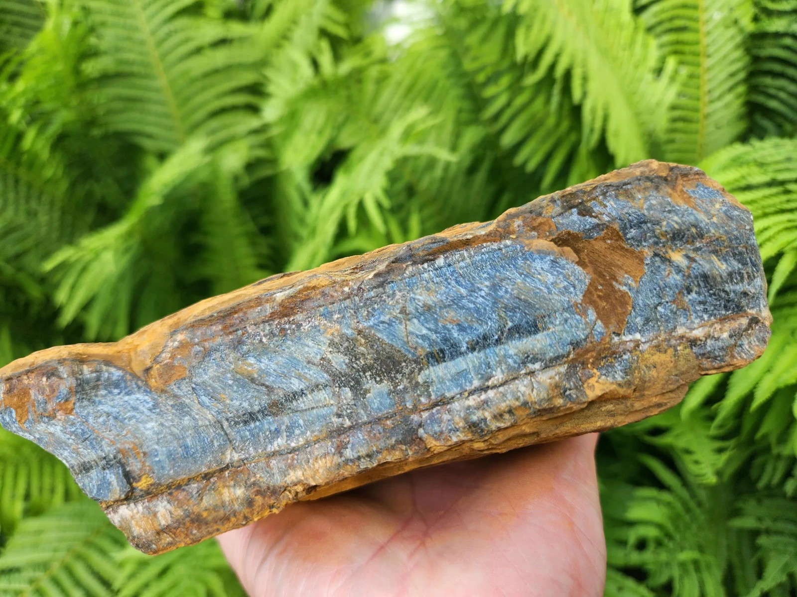 5 lb 11 oz Rough Blue Tiger’s Eye Stone. Ideal for Lapidary. Luminescent