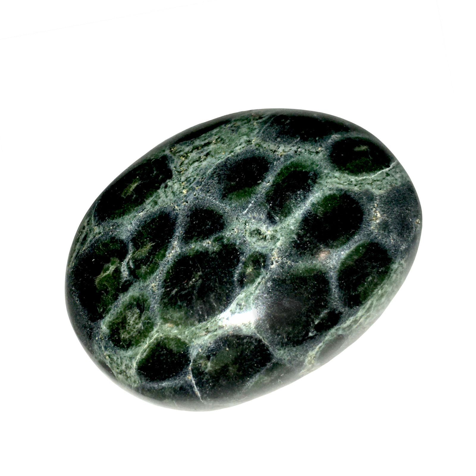 XL Kambaba Jasper Palm Stone Green Rock Crystal Healing Reiki Polished Worry Sto
