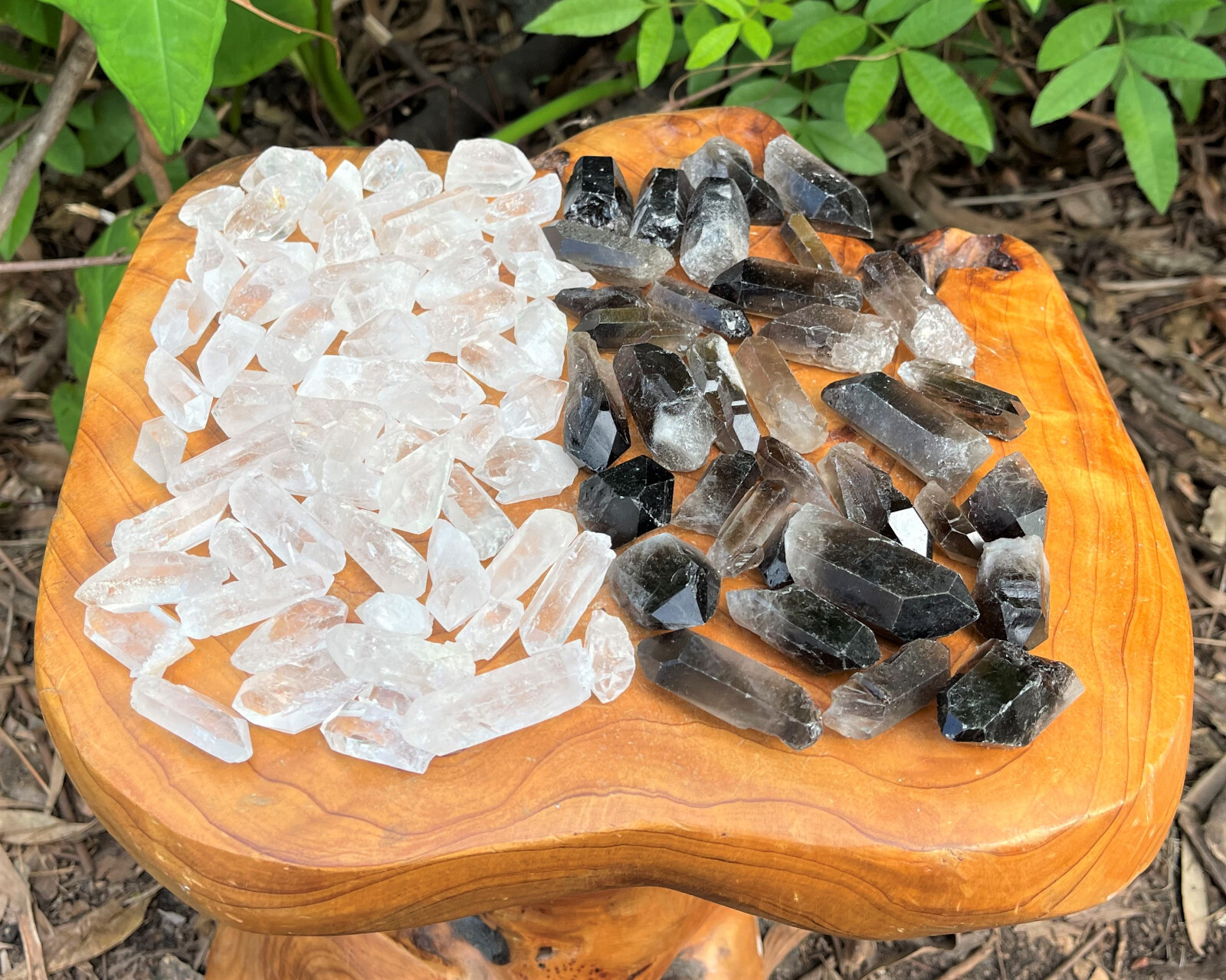 Wholesale 500 Carat Bulk Lot Mixed Smoky & Clear Quartz Natural Crystal Points